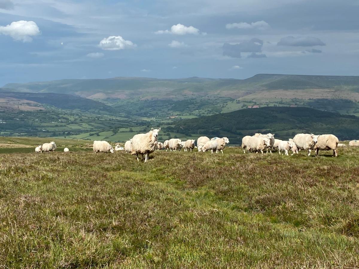 فيلا Pant Llwyd Farm Llangynidr المظهر الخارجي الصورة